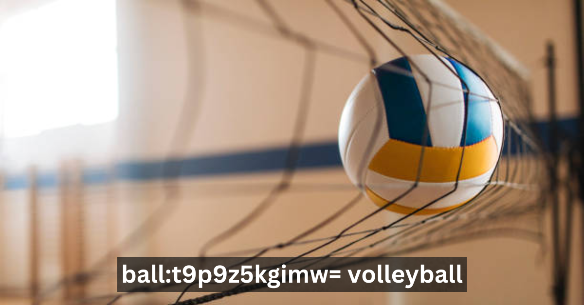 Ball:t9p9z5kgimw= Volleyball