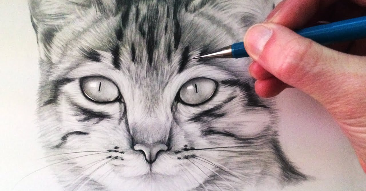 Future Trends in Drawing:a4z_-ymtkr8= Cat