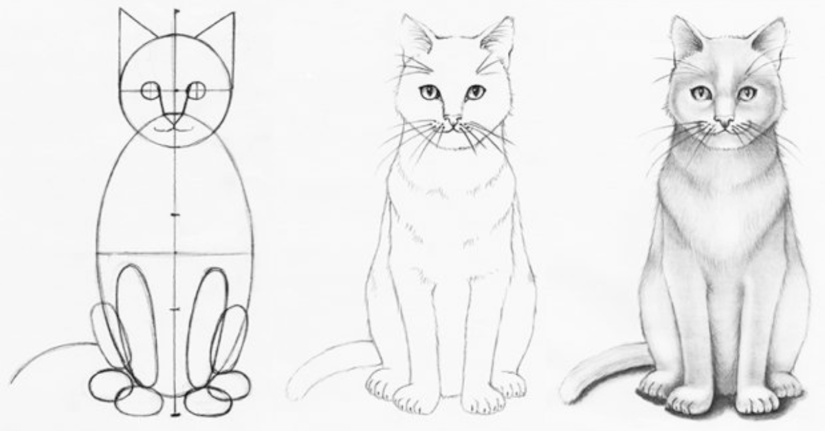 Tips and Tricks for Perfecting Your Cat Drawings