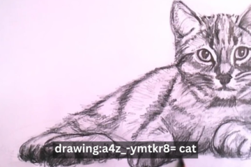 Drawing:a4z_-ymtkr8= Cat