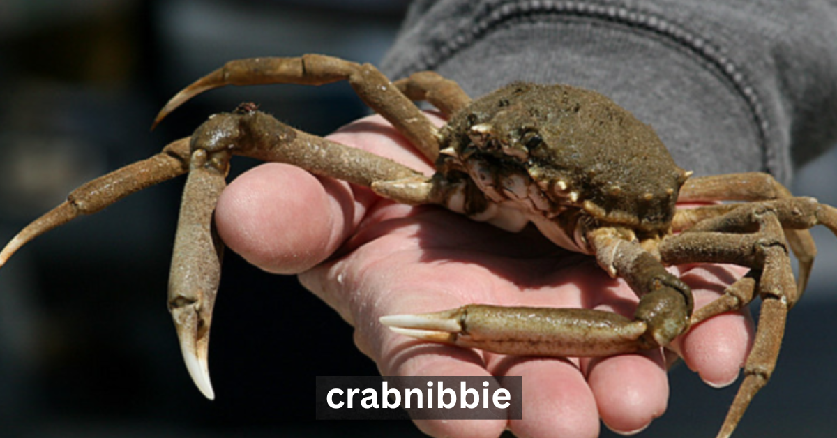 Crabnibbie