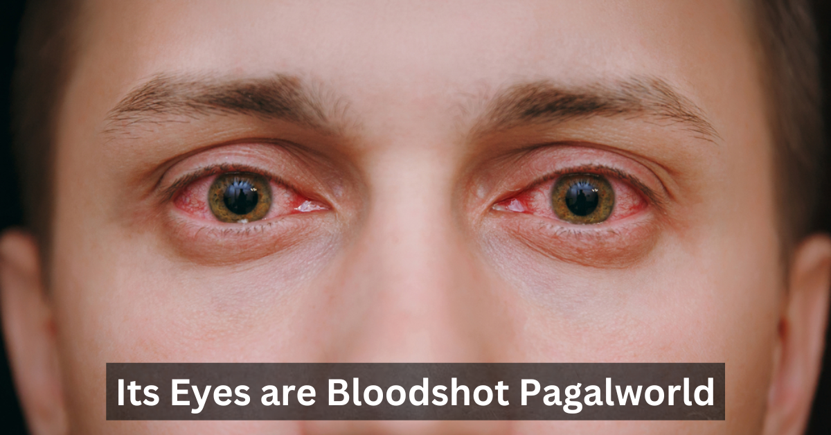 Its Eyes are Bloodshot Pagalworld