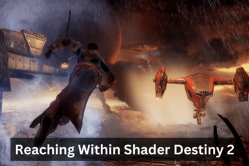 Reaching Within Shader Destiny 2
